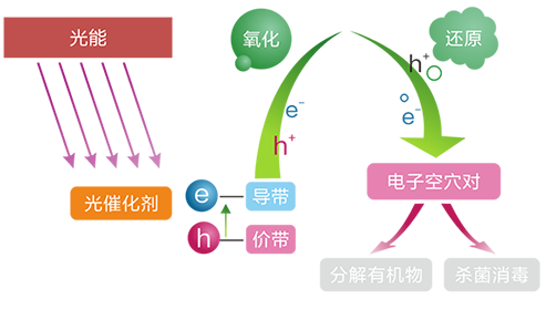 BETVLCTOR伟德国际(体育)唯一官方网站