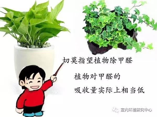 BETVLCTOR伟德国际(体育)唯一官方网站