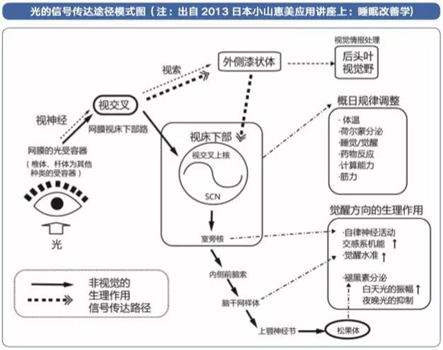 BETVLCTOR伟德国际(体育)唯一官方网站