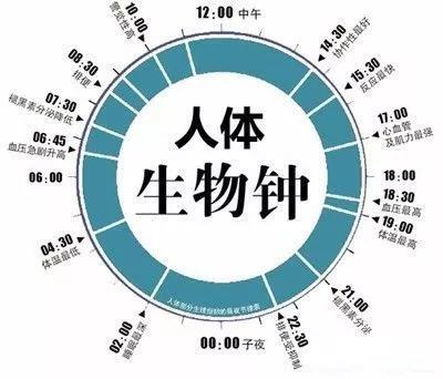 BETVLCTOR伟德国际(体育)唯一官方网站
