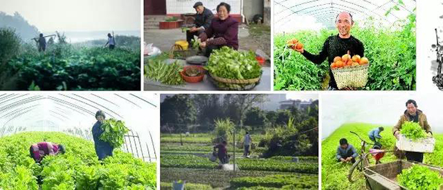 BETVLCTOR伟德国际(体育)唯一官方网站