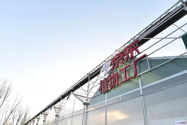 BETVLCTOR伟德国际(体育)唯一官方网站