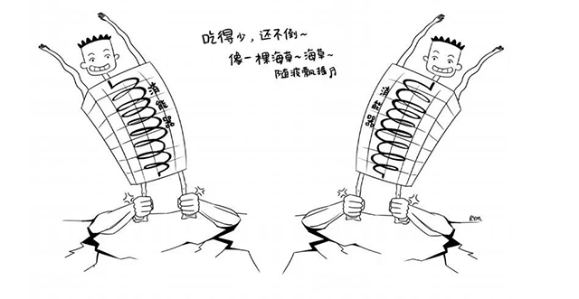 BETVLCTOR伟德国际(体育)唯一官方网站