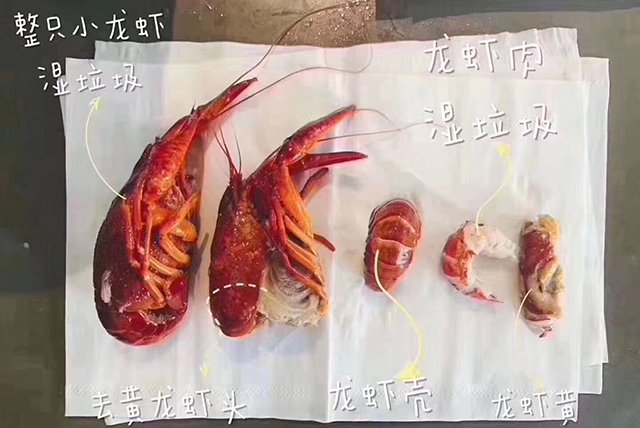 BETVLCTOR伟德国际(体育)唯一官方网站